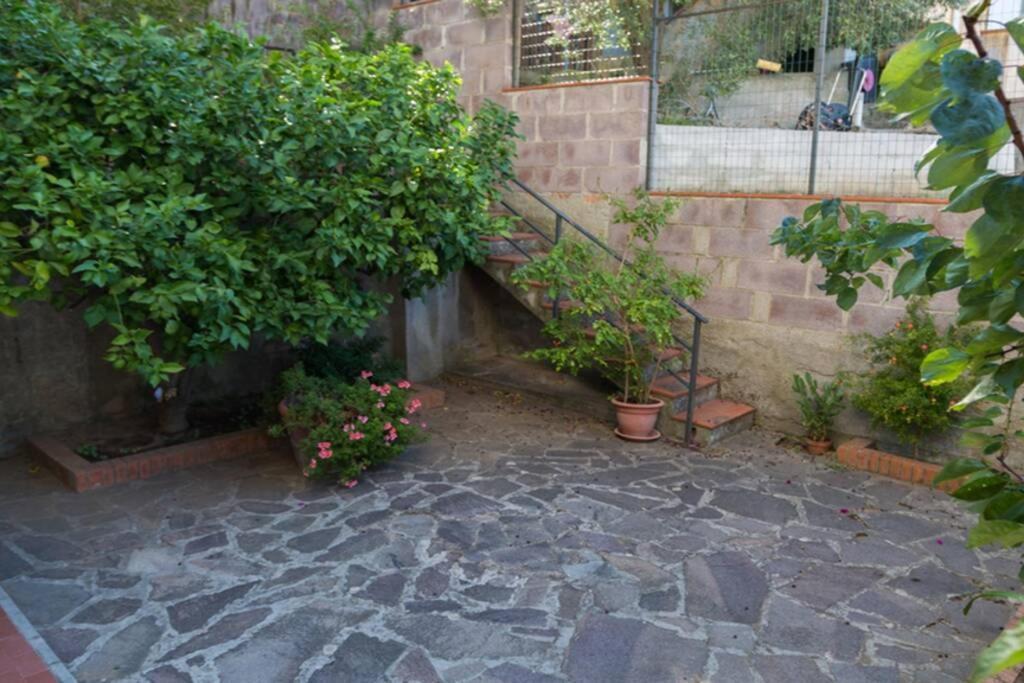 Toscana Mare/Collina Castagnaeto Carducci Castagneto Carducci Exterior foto